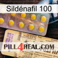 Sildénafil 100 new06